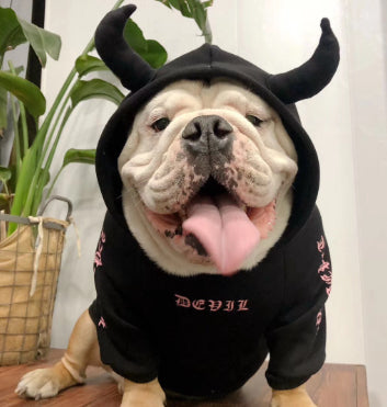Suéter Polar Disfraz Halloween para Mascotas - Image 10