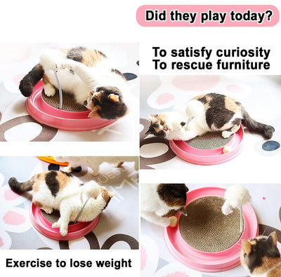 Rascador Interactivo para Gatos con Juguete de Pelota - Pad de Entrenamiento y Ejercicio - Image 4