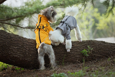 Impermeable para Perros Pequeños y Medianos con Arnés Integrado - Image 21