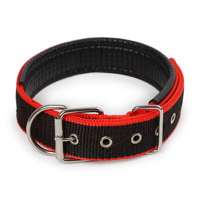 Collares Ajustables para Perros Grandes de Tamaño Compacto - Image 8