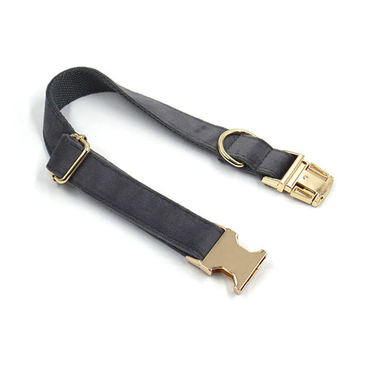 Collar para Mascotas de Terciopelo Gris Oscuro con Grabado y Hebilla Metálica - Image 5