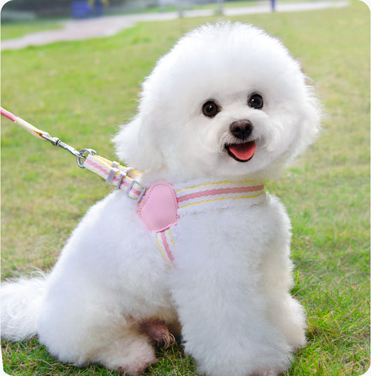 Arnés Respirador para Perros Pequeños y Medianos - Chaleco Cómodo para Paseos de Verano - Image 10