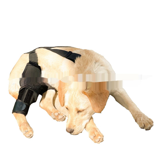 Refuerzo de Rodilla para Perros - Soporte para Patas Traseras - Image 21