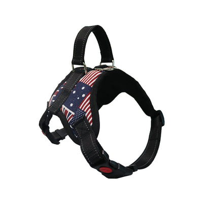 Productos Premium de Aseo para Perros Raza Satsuma - Image 16
