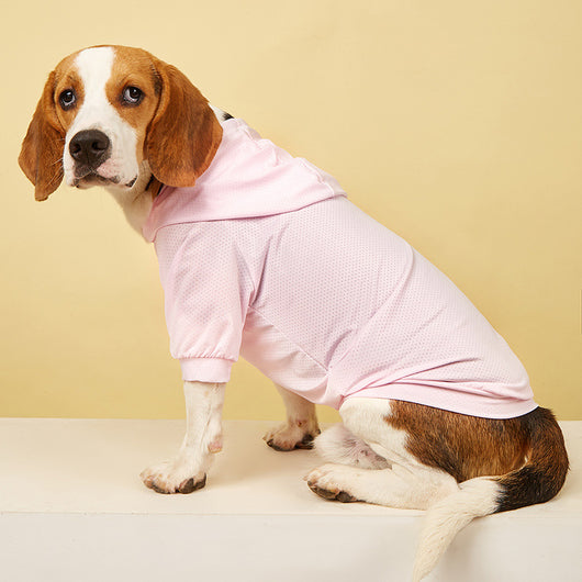 Ropa de Protección Solar para Mascotas - Colección Verano - Image 8
