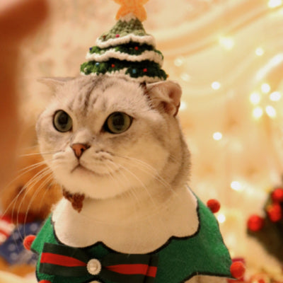 Árbol de Navidad Pequeño con Gorro y Gato Mascota - Image 4