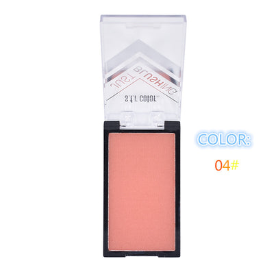 Rubor Monocolmático Iluminador - Tono Unificado y Radiante - Image 17