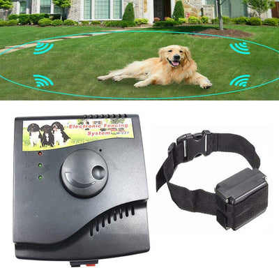 Collar Inteligente Adiestramiento Perros - Control de Ladridos - Image 8