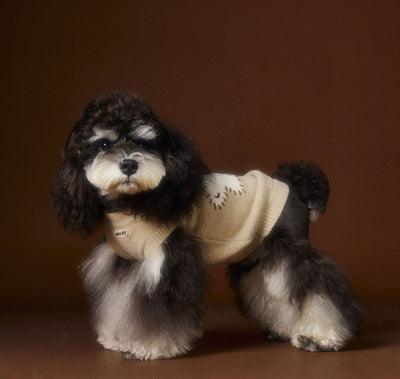 Chaleco Térmico sin Mangas para Perros Schnauzer, Bichón y Razas Pequeñas - Image 33