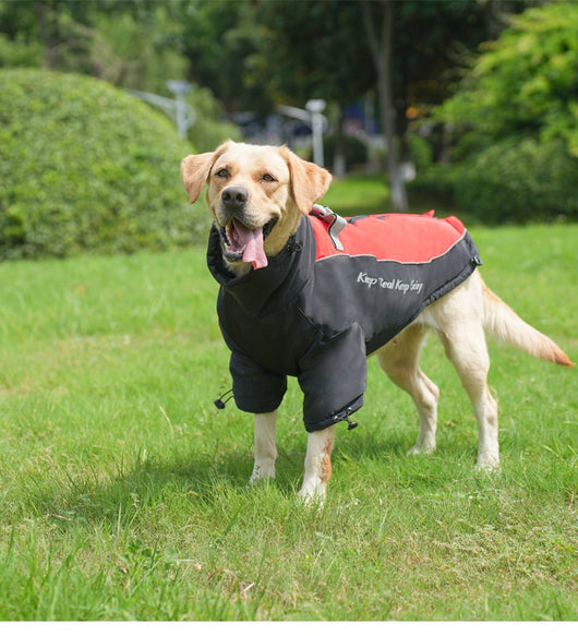 Abrigo Térmico de Polar para Perros - Image 23