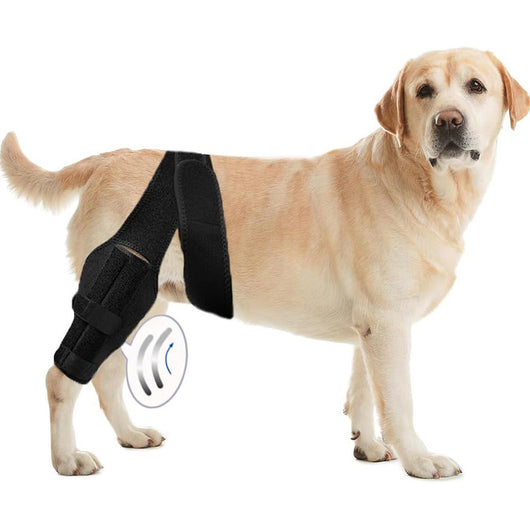 Black pet leg brace for dog injury assistance and rehabilitation, featuring adjustable straps and a supportive design.
