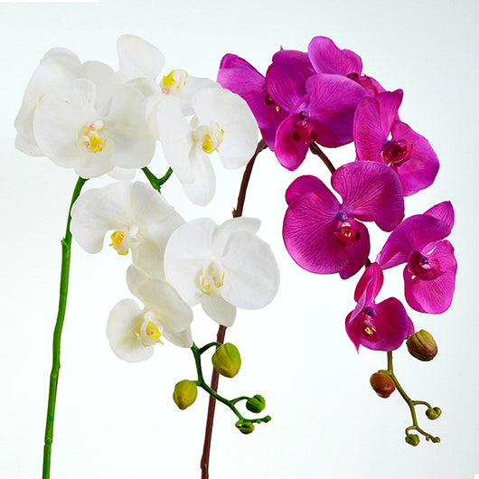 Orquídea Phalaenopsis Artificial de Piso - Flor Decorativa en Seda - Image 9