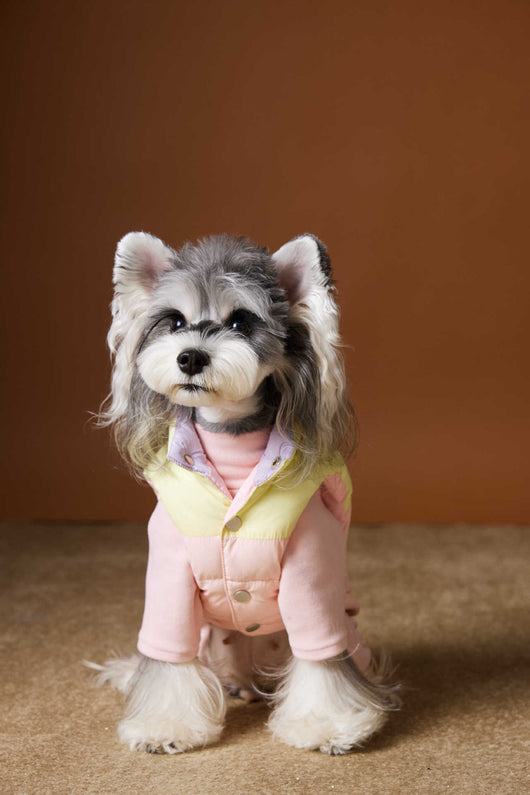 Chaleco Acolchado de Invierno para Perros Pequeños - Teddy, Schnauzer, Bichón - Image 18
