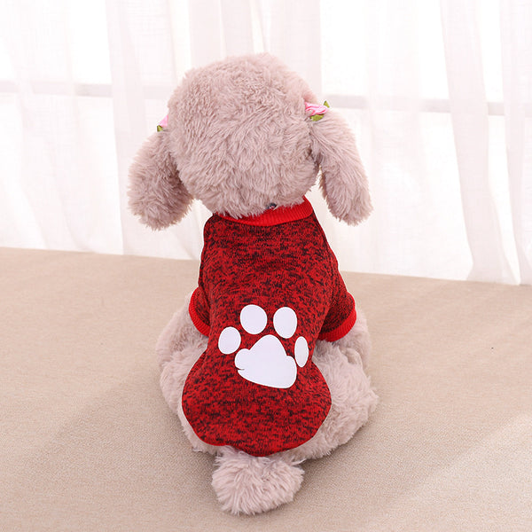 Suéter de Dos Patas para Mascotas - Diseño Teddy Acogedor - Image 4