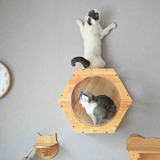 Árbol Rascador de Madera Maciza Premium para Gatos con Agujeros de Perforación