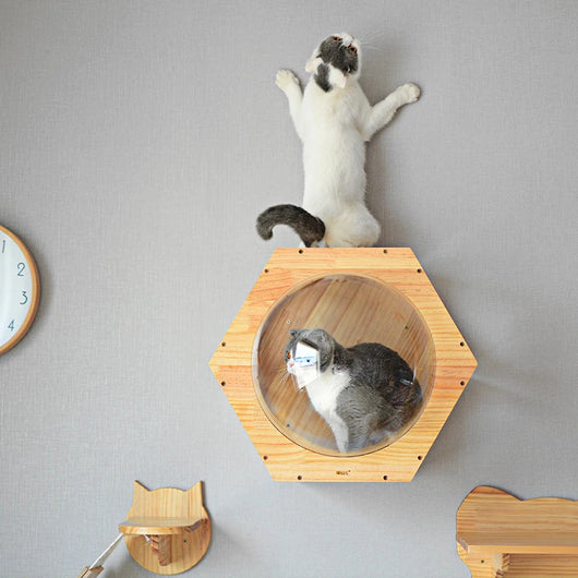 Árbol Rascador de Madera Maciza Premium para Gatos con Agujeros de Perforación
