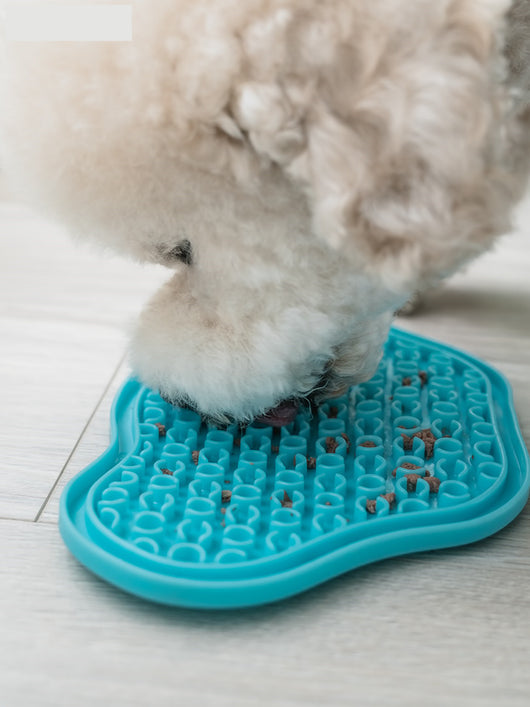 Comedero Lento Antiansiedad para Mascotas - Image 8