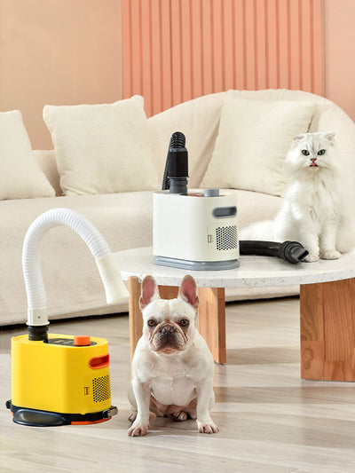 Secador de Aire Potente para Perros Grandes - Image 6