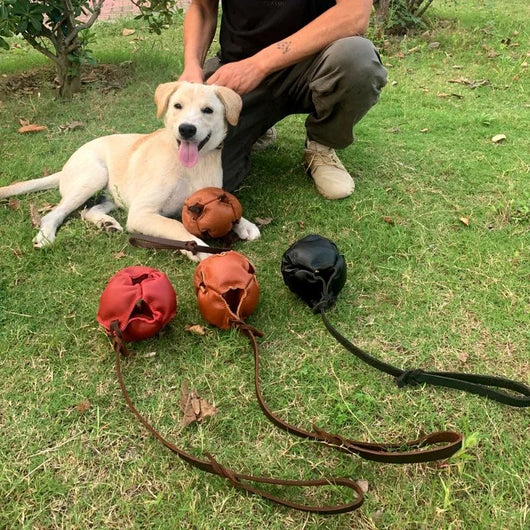 Pelota de Entrenamiento en Cuero con Asa para Perros - Juguete Mordedor Resistente - Image 2
