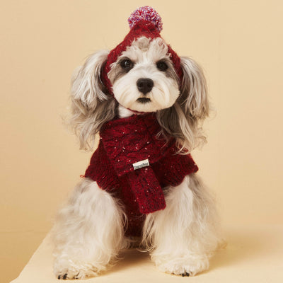 Gorro y Bufanda de Lana para Mascotas - Conjunto Abrigador para Perros - Image 15