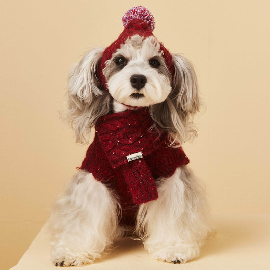 Gorro y Bufanda de Lana para Mascotas - Conjunto Abrigador para Perros - Image 15