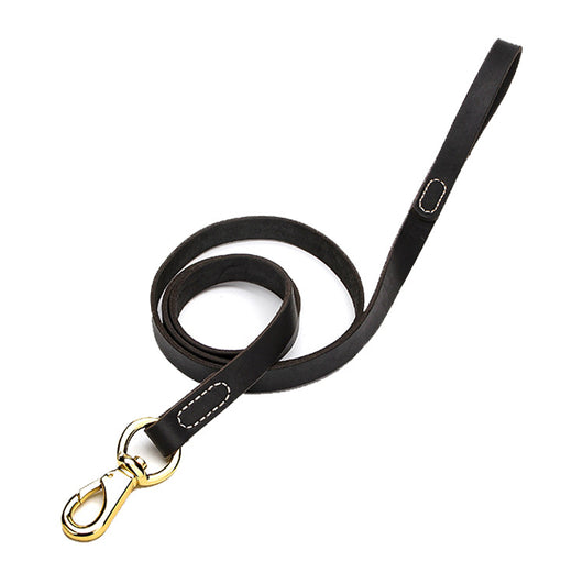 Correa de Cuero Genuino para Perros Medianos y Grandes - Image 10