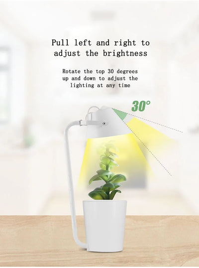 Sistema de Cultivo Hidropónico Automático - Image 11