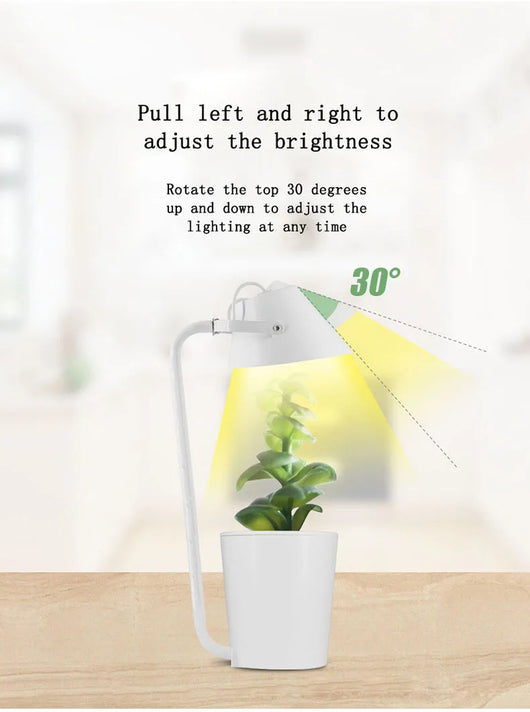 Sistema de Cultivo Hidropónico Automático - Image 11