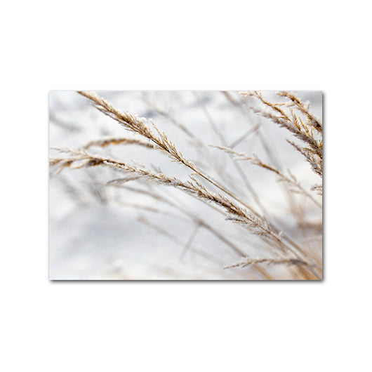 Cuadro Decorativo Boho Mujer Nórdico con Caña y Hierba - Image 11
