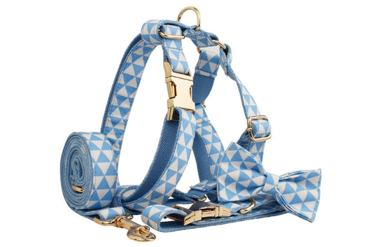 Chaleco para Perro con Lazo de Cuerda Triangular Azul - Image 16