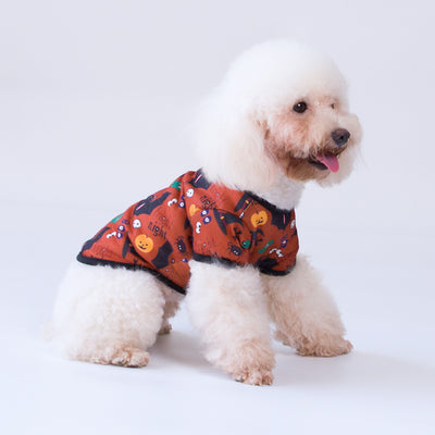 Ropa Halloween para Gatos - Diseño Elegante y Minimalista - Image 5