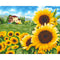 Style 6479 40 x 50 cm