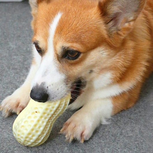 Juguete Masticable para Perros Pequeños y Medianos - Juguete Interactivo Resistente con Forma de Cacahuete - Image 4
