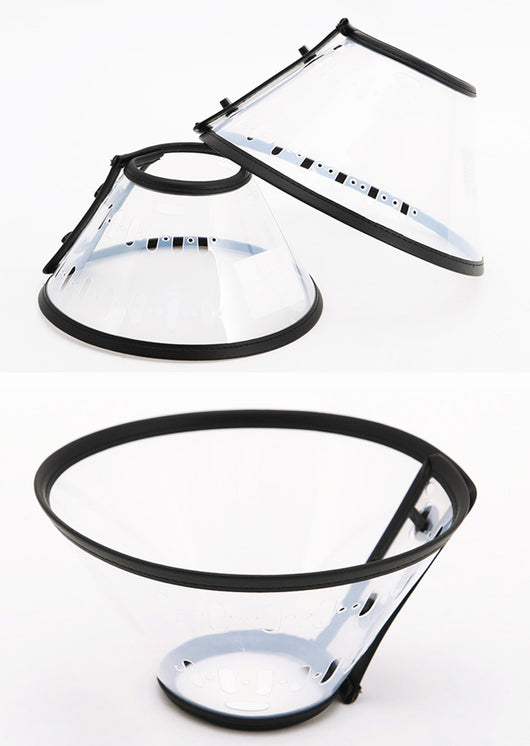 Collar Protector Antimorida y Antilametidas para Perros y Gatos - Image 10