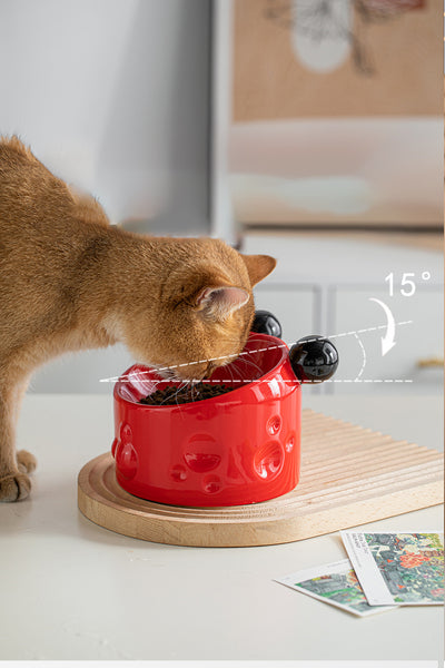 Comedero Elevado para Gatos y Perros con Protección Cervical y Doble Recipiente Antiderrames - Image 14