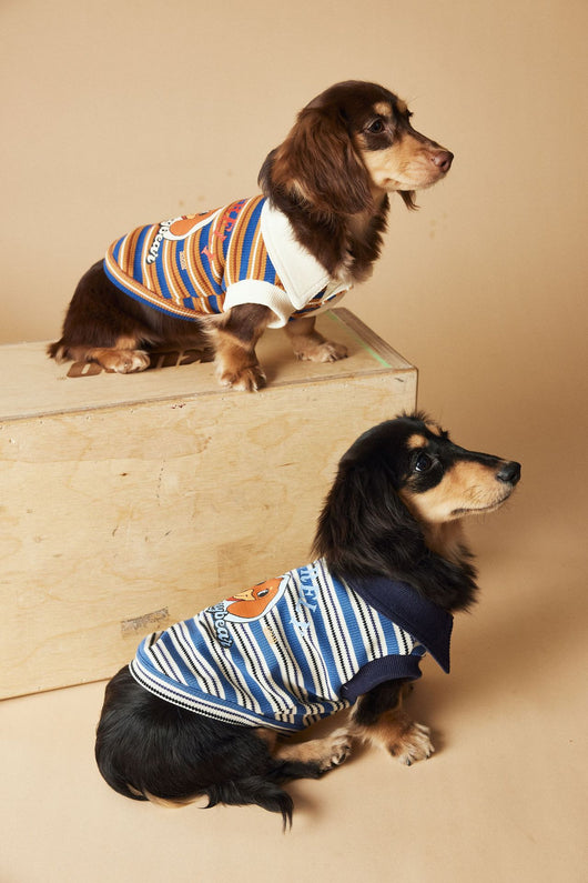 Polo sin Mangas a Rayas para Perros - Chaleco Elegante y Cómodo - Image 17
