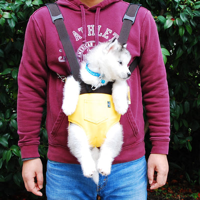 Mochila Pechera Ajustable para Mascotas - Viajes y Aventuras - Image 7