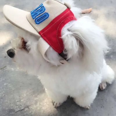 Gorra de Béisbol Protectora para Mascotas - Image 7