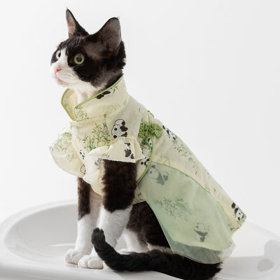 Falda Pareja Estilo Chino Panda y Bambú para Gatos Sin Pelo - Image 3