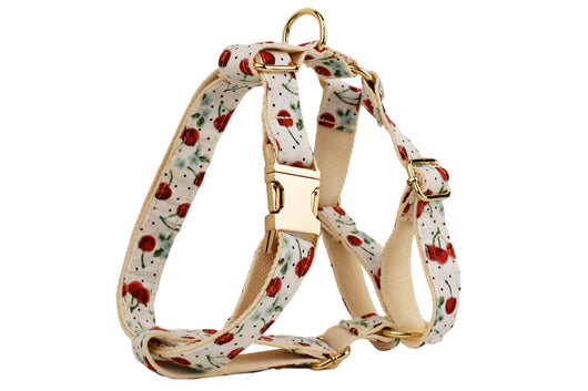 Collar para Mascotas con Estampado de Cerezas, Correa de Tracción y Hebilla Dorada Desprendible - Image 20