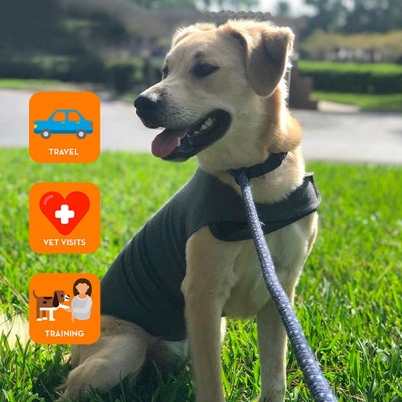 Chaleco Térmico para Perros - Abrigo Cálido y Cómodo