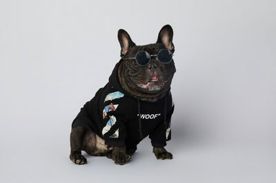 Ropa de Moda para Schnauzers - Colecciones Exclusivas - Image 22
