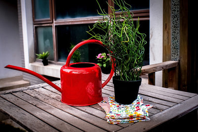Regadera de Gran Capacidad para Huerto y Jardín - Image 20