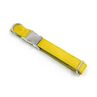 Collar de Terciopelo Amarillo y Verde para Perro - Image 8