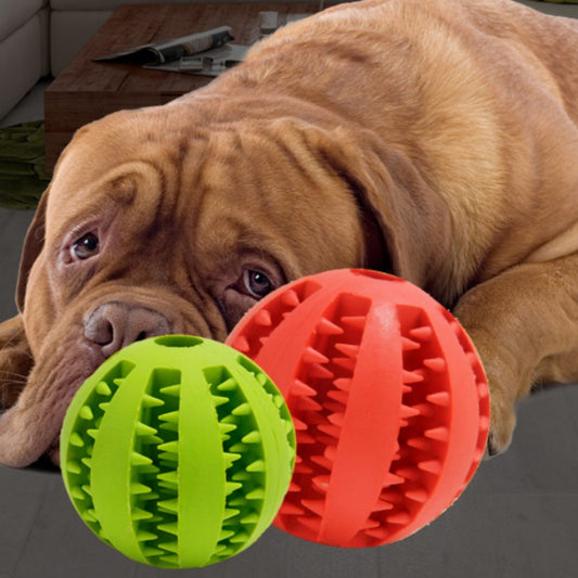 Juguete Mordedor Resistente para Perros y Cachorros