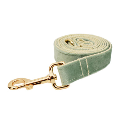 Collar para Perro de Terciopelo Suave - Image 8