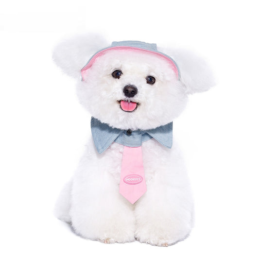 Toalla Absorbente para Perros Pequeños - Yorkshire, Bichón y Razas Toy - Image 2