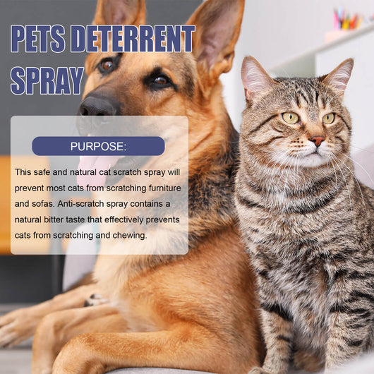 Spray Repelente Anti-arañazos para Perros y Gatos - Protege Puertas y Muebles - Image 9