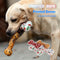 Juguete Masticable de Hueso con Sonido TPR para Mascotas