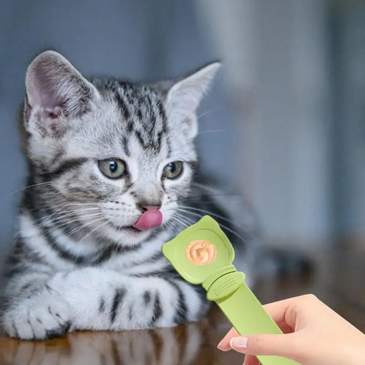 Cucharilla Dispensadora de Alimento para Gatos - Reutilizable y Portátil - Image 5